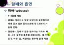 [금연][흡연][담배]ppt 담배 속 유해물질과 주성분 및 위험성 조사, 흡연이 건강에 미치는 영향과 금연 방법(중독과 금단현상 이기기) 5페이지
