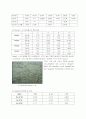 Effect of nitrogen dioxide in human body(이산화질소의 인체에 미치는 영향) 8페이지