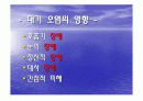 서울의 대기환경-서울의 대기 오염의 현재와 그리고 미래- 4페이지