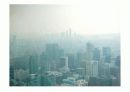 서울의 대기환경-서울의 대기 오염의 현재와 그리고 미래- 5페이지