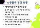 [신종인플루엔자]신종인플루엔자의 발생원인과 증상 및 치료법, 지구 대유행병(팬데믹)으로 번지고 있는 신종플루의 발병현황과 근본적 해결을 위한 과제 12페이지