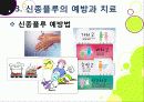 [신종인플루엔자]신종인플루엔자의 발생원인과 증상 및 치료법, 지구 대유행병(팬데믹)으로 번지고 있는 신종플루의 발병현황과 근본적 해결을 위한 과제 17페이지