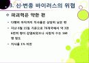 [신종인플루엔자]신종 인플루엔자(돼지독감)와 전염병의 이해, 지구 대유행병(팬데믹)으로 번지고 있는 신종플루의 심각성과 대책 23페이지