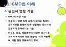 [GMO]유전자변형식품(gmo)의 이해와 GMO 논란의 주요 쟁점(GMO의 안전성, 식량 부족 문제 해결 가능성)에 대한 찬성 반대 의견 고찰 4페이지