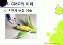 [GMO]유전자변형식품(gmo)의 이해와 GMO 논란의 주요 쟁점(GMO의 안전성, 식량 부족 문제 해결 가능성)에 대한 찬성 반대 의견 고찰 5페이지
