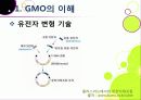 [GMO]유전자변형식품(gmo)의 이해와 GMO 논란의 주요 쟁점(GMO의 안전성, 식량 부족 문제 해결 가능성)에 대한 찬성 반대 의견 고찰 6페이지