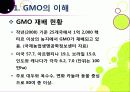 [GMO]유전자변형식품(gmo)의 이해와 GMO 논란의 주요 쟁점(GMO의 안전성, 식량 부족 문제 해결 가능성)에 대한 찬성 반대 의견 고찰 8페이지