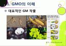 [GMO]유전자변형식품(gmo)의 이해와 GMO 논란의 주요 쟁점(GMO의 안전성, 식량 부족 문제 해결 가능성)에 대한 찬성 반대 의견 고찰 10페이지