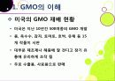 [GMO]유전자변형식품(gmo)의 이해와 GMO 논란의 주요 쟁점(GMO의 안전성, 식량 부족 문제 해결 가능성)에 대한 찬성 반대 의견 고찰 11페이지