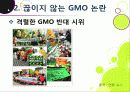[GMO]유전자변형식품(gmo)의 이해와 GMO 논란의 주요 쟁점(GMO의 안전성, 식량 부족 문제 해결 가능성)에 대한 찬성 반대 의견 고찰 17페이지