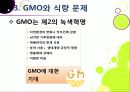 [GMO]유전자변형식품(gmo)의 이해와 GMO 논란의 주요 쟁점(GMO의 안전성, 식량 부족 문제 해결 가능성)에 대한 찬성 반대 의견 고찰 23페이지