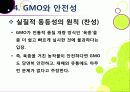 [GMO]유전자변형식품(gmo)의 이해와 GMO 논란의 주요 쟁점(GMO의 안전성, 식량 부족 문제 해결 가능성)에 대한 찬성 반대 의견 고찰 29페이지