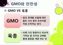 [GMO]유전자변형식품(gmo)의 이해와 GMO 논란의 주요 쟁점(GMO의 안전성, 식량 부족 문제 해결 가능성)에 대한 찬성 반대 의견 고찰 31페이지