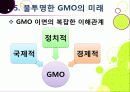 [GMO]유전자변형식품(gmo)의 이해와 GMO 논란의 주요 쟁점(GMO의 안전성, 식량 부족 문제 해결 가능성)에 대한 찬성 반대 의견 고찰 32페이지