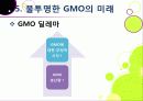 [GMO]유전자변형식품(gmo)의 이해와 GMO 논란의 주요 쟁점(GMO의 안전성, 식량 부족 문제 해결 가능성)에 대한 찬성 반대 의견 고찰 34페이지