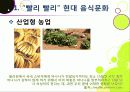 [슬로푸드]슬로우푸드(slow food)의 정의와 목적 및 의의 고찰, 현대음식(패스트푸드)의 문제점과 대책으로서의 슬로푸드 운동 9페이지