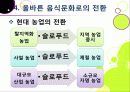 [슬로푸드]슬로우푸드(slow food)의 정의와 목적 및 의의 고찰, 현대음식(패스트푸드)의 문제점과 대책으로서의 슬로푸드 운동 29페이지