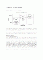 다문화가정을 위한 정책적 방향 제안 12페이지