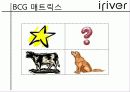 [한국외국어대학교경영학원론A+] irever 기업전략분석 발표 ppt 15페이지