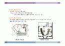 아돌프 로스와 근대건축 18페이지