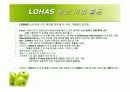 소비자 트랜드 변화 친환경, 유기농의 이상 LOHAS - 로하스 16페이지