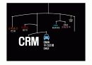 CRM 고객관계관리 개요 및 성공사례 3페이지
