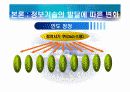 미래의 조직 : 정보기반 조직 (팀제조직) 13페이지