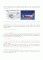 제주항공과 Southwest Airlines를 중심으로 저가항공사의 전략비교연구 7페이지