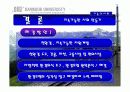 기술과 사회(기술발달과 사회의 변화, 이에대한 문제점과 대책).ppt 10페이지