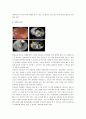 [위암치료, 위암예방, 위암] 위암 완벽정리(위암의 원인과 형태 및 위암의 치료와 예방법) 4페이지