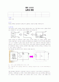 노톤의 정리 결과 및 예비 보고서 1페이지