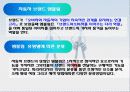 디자인 PPT자료 11페이지