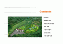 (부동산개발사업)화성시발안골프연습장사업계획서 2페이지