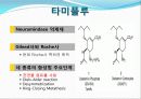 인플루엔자(독감)바이러스, 조류인플루엔자바이러스의 기작과 특징, 타미플루,백신의 종류. 30페이지