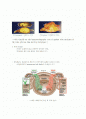 종양면역 (Tumor Immunology) 2페이지