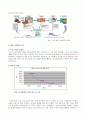 RF-ID가 물류에 미치는 영향 (사례 중심) 11페이지