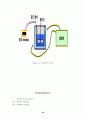 아크릴수지(PMMA : Polymethly Methacrylate) 30페이지