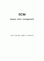 SCM (공급체인관리), SCP(공급체인계획) 1페이지