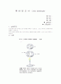 :  예 비 보 고 서 -고체의 열팽창실험  1페이지