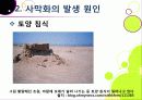 [사막화]사막화의 정의와 확대 원인 및 사막화로 인한 피해와 인간, 자연 생태계에 미치는 영향 조사, 사막화 확대 문제의 해결 대책 20페이지