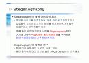 C++ 프로그래밍을 통한 이미지의 암호화 방법 - 비트플레인 사용 (스테가노그라피) 23페이지