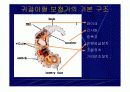 청각장애인의 특성/청각장애인에 대한 영향/보청기의 속성/보청기의 종류/보청기의 기본구조/귀걸이형 보청기의 기본 구조/보청기의 관리 9페이지