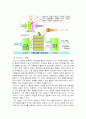 포스코 글로벌 기업 분석 23페이지