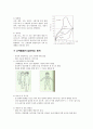 [교육학]아동발달과 교육 3페이지