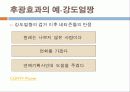 사회인지-대인지각 5페이지