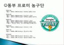 [스포츠 경영학] 프로농구선수 김주성 출연 동부화재 CF 분석 6페이지