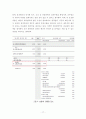 성과주의 예산제도의 실제 사례분석(지방정부+중앙정부) 17페이지