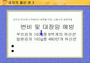 김치의 소개와 역사 및 강점분석 밥상김치 8페이지