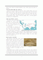 [실크로드][동서 교역로]실크로드와 문물 교류, 전세계 교역로 심층분석 3페이지