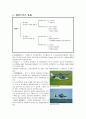 항공스포츠 패러글라이딩 2페이지